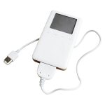 firewire  ipod nano mini iphone