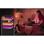 philips hue play light bar double pack black