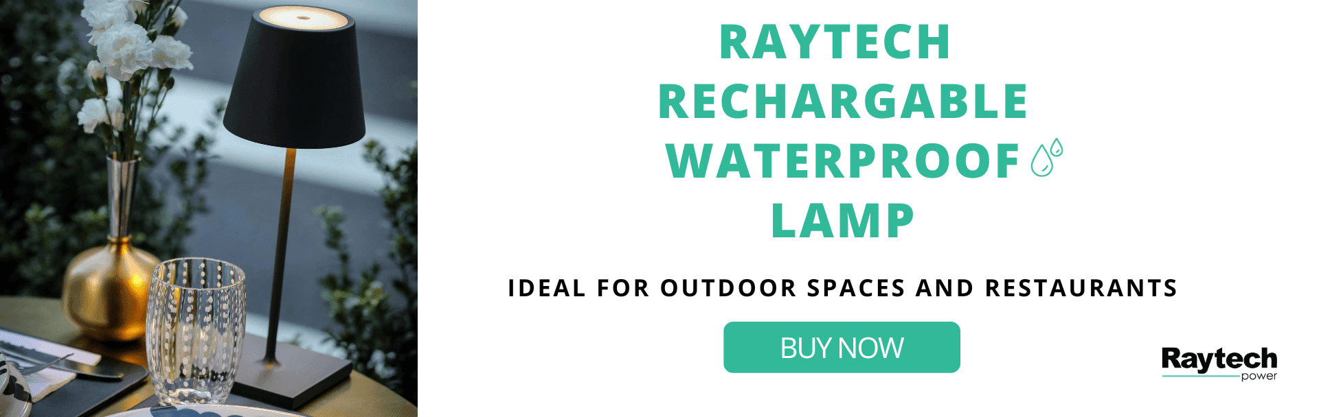 raytech-slide-en