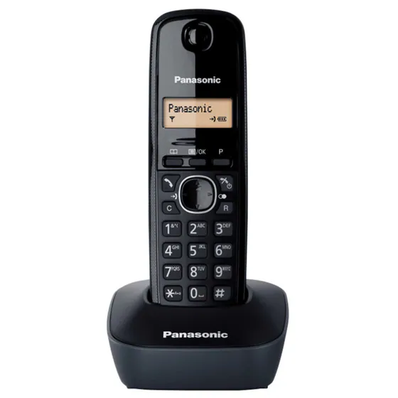 0618052-PANASONIC-KXTG1611-hero-560x560