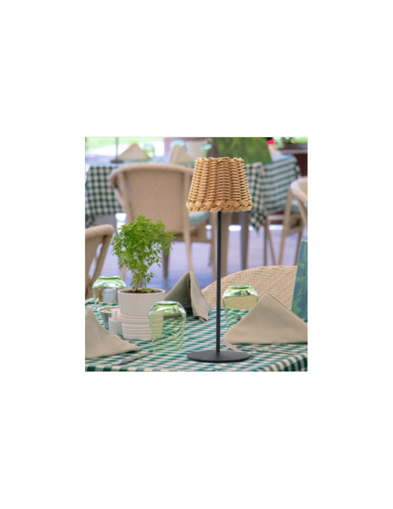 raytech-power-1515-επαναφορτιζόμενο-φωτιστικό-pe-rattan (1)